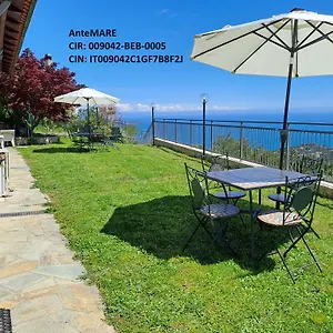 Couette-café Antemare, Noli
